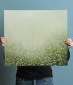 Smooth Green Petals
