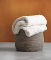 Pristine warm Chestnut Brown