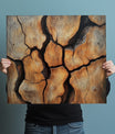 Radiant Wood