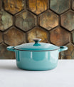 Lustrous Turtle Shell
