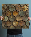 Lustrous Turtle Shell