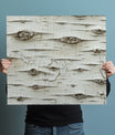 Breathtaking Birch Bark