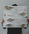 Crisp Birch Bark