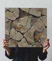 Bold Cracked Earth