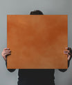 Dazzling Earthy Clay Orange