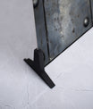 Dynamic Galvanized Metallic