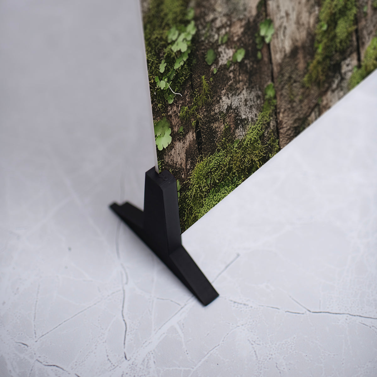 Iconic Moss Covered Wood