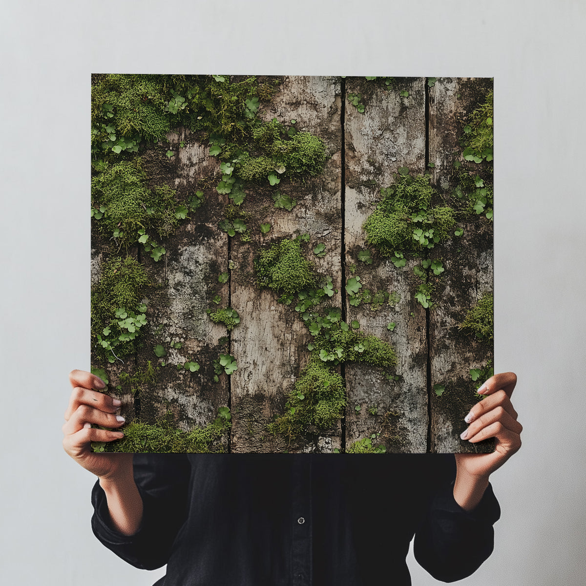 Iconic Moss Covered Wood