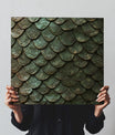 Sharp Reptile Scales