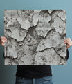 Stylish Rough Concrete