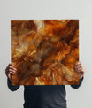 Elegant Tortoiseshell