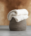 Bold Warm Sepia Brown Soft