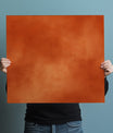 Timeless Warm Terracotta Soft