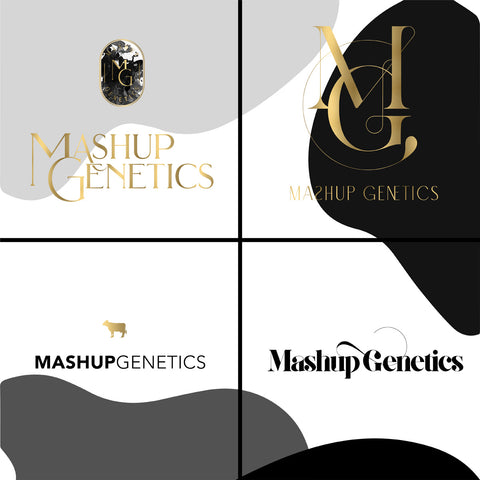 Logo & Business Card Design